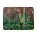 Recherche de état magnets Cactus