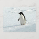 Recherche de adele cartes postales Pingouin