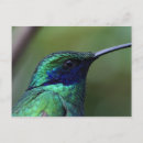 Suche nach demuetigende poster Tierwelt