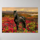 Suche nach bauernhof geburtstag poster Tiere