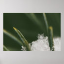 Suche nach kristallen poster Winter