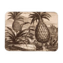 Recherche de agriculture magnets Anglais