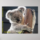 Suche nach australian flag poster Marsupial