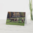 Recherche de moquerie cartes postales Se moquer