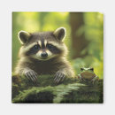 Suche nach raccoon magnete Wald