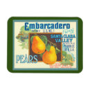 Recherche de poire magnets Fruit