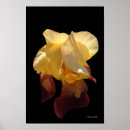 Recherche de impressionniste photographie Fleurs