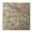 Suche nach virginia fliesen Voll