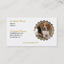 Recherche de chien beagle cartes visite Beagles
