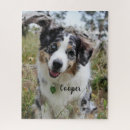 Suche nach australian shepherd puzzle Hund
