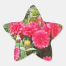 Suche nach rosa dahlie blumen aufkleber Blüten