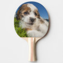 Recherche de l espace raquettes ping pong Animal