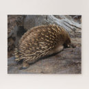 Suche nach ameisen puzzle Niedlich