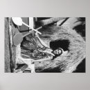 Suche nach hula girl poster Presse