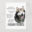 Suche nach malamute postkarten Bösartig