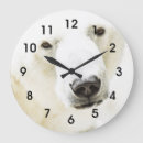 Recherche de mammif horloges Nature