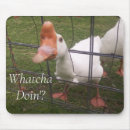 Suche nach lustige enten mousepads Naturfotografie