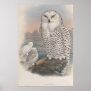 Suche nach gould poster Gegossen