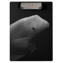 Recherche de poisson photographie Unique