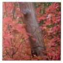 Recherche de chutes carreaux Travel