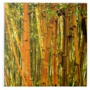 Suche nach bambus fliesen Natur