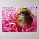 Suche nach weinglas poster Rosa