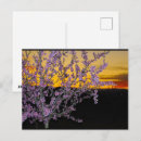 Recherche de ciel jaune cartes postales Fleurs