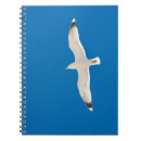 Recherche de planeur carnets Voilier