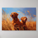 Suche nach red fox poster Labrador retriever