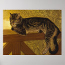 Suche nach tabbykatze poster Tiere