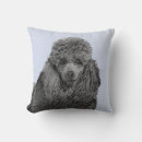 Recherche de caniche miniature coussins Pour tous