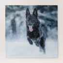 Suche nach schwarze schafe puzzle Hund