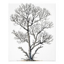 Recherche de arbre noir blanc art Mural