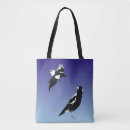 Recherche de pie bleue Oiseaux