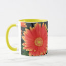 Suche nach gerbera tassen Fotografie