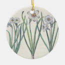 Suche nach narzisse ornamente Botanisch