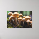 Suche nach pilz leinwandbilder Wald