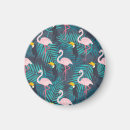 Suche nach toucan magnete Dschungel