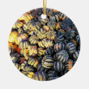 Suche nach kürbisse ornamente Erntedankfest