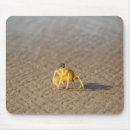 Suche nach krabben mousepads Ozean