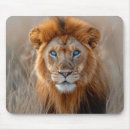 Suche nach männlicher löwe mousepads Große katze