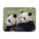 Recherche de réservation magnets Faune