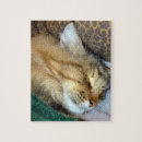 Suche nach münzen puzzle Katze