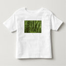 Suche nach regenwald tshirts Tropisch