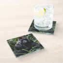 Recherche de gorille dessous de verres Jungle