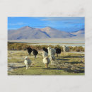 Recherche de chilien cartes postales Chicane