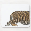 Suche nach sumatran mousepads Tiere