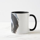 Recherche de épagneul tasses Chiot
