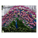 Recherche de paon posters Fleurs