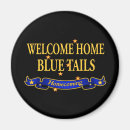 Recherche de avion bleu magnets Avions